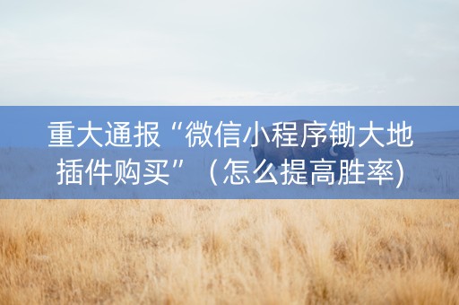 重大通报“微信小程序锄大地插件购买”（怎么提高胜率)