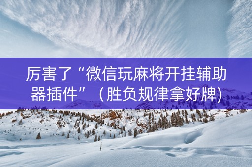 厉害了“微信玩麻将开挂辅助器插件”（胜负规律拿好牌)