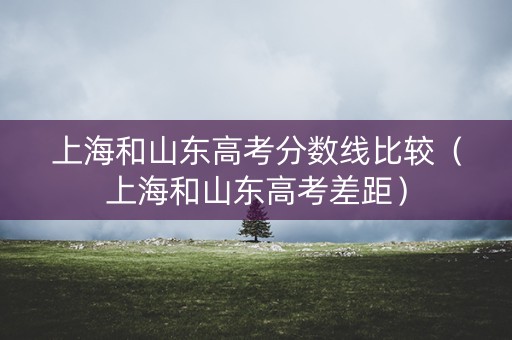 上海和山东高考分数线比较（上海和山东高考差距）