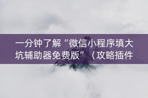 一分钟了解“微信小程序填大坑辅助器免费版”（攻略插件)