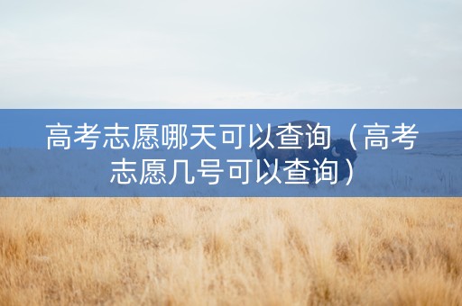 高考志愿哪天可以查询（高考志愿几号可以查询）