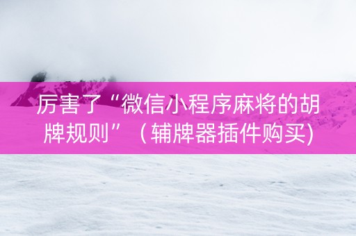 厉害了“微信小程序麻将的胡牌规则”（辅牌器插件购买)