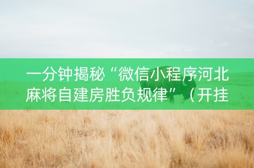 一分钟揭秘“微信小程序河北麻将自建房胜负规律”（开挂辅助脚本)