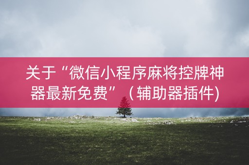 关于“微信小程序麻将控牌神器最新免费”（辅助器插件)