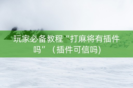 玩家必备教程“打麻将有插件吗”（插件可信吗)