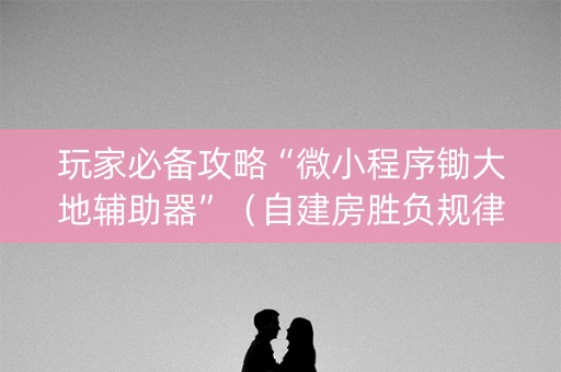 玩家必备攻略“微小程序锄大地辅助器”（自建房胜负规律)