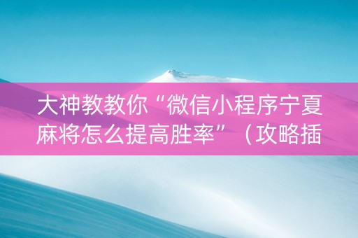 大神教教你“微信小程序宁夏麻将怎么提高胜率”（攻略插件)