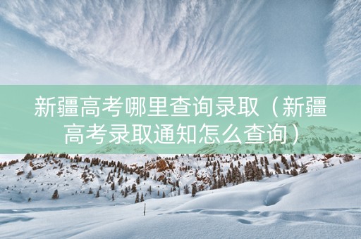 新疆高考哪里查询录取（新疆高考录取通知怎么查询）
