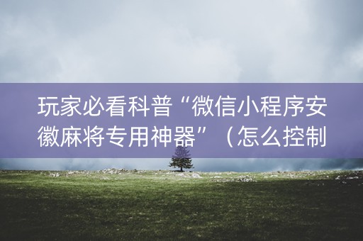 玩家必看科普“微信小程序安徽麻将专用神器”（怎么控制输赢)
