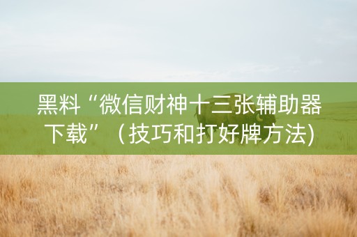 黑料“微信财神十三张辅助器下载”（技巧和打好牌方法)