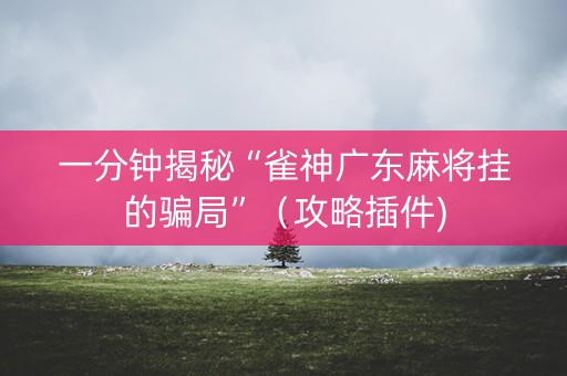一分钟揭秘“雀神广东麻将挂的骗局”（攻略插件)