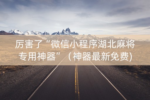 厉害了“微信小程序湖北麻将专用神器”（神器最新免费)