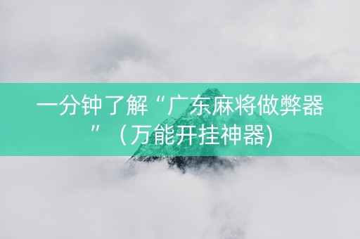 一分钟了解“广东麻将做弊器”（万能开挂神器)
