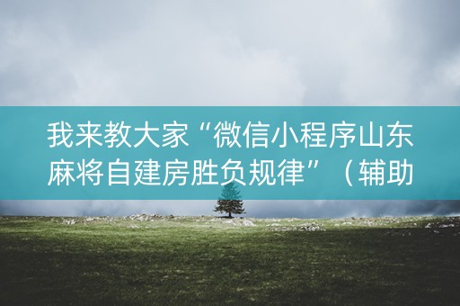 我来教大家“微信小程序山东麻将自建房胜负规律”（辅助软件)