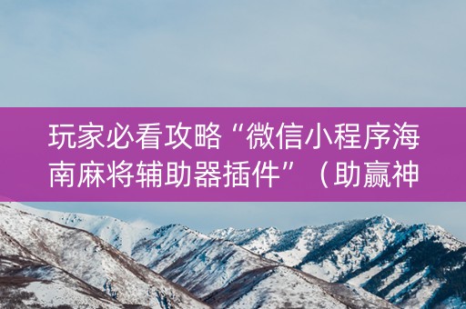 玩家必看攻略“微信小程序海南麻将辅助器插件”（助赢神器)