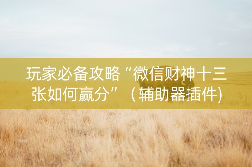 玩家必备攻略“微信财神十三张如何赢分”（辅助器插件)