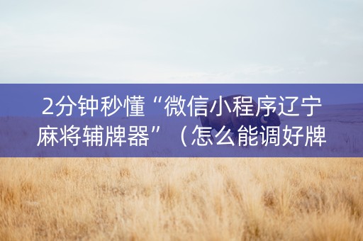 2分钟秒懂“微信小程序辽宁麻将辅牌器”（怎么能调好牌)