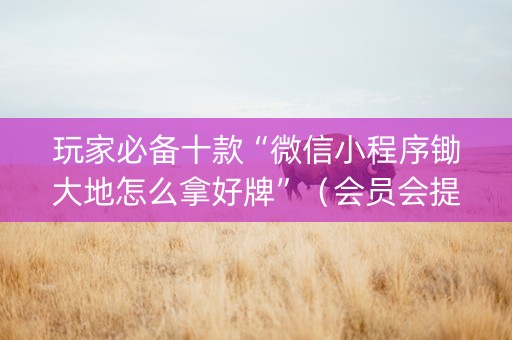 玩家必备十款“微信小程序锄大地怎么拿好牌”（会员会提高胜率吗)