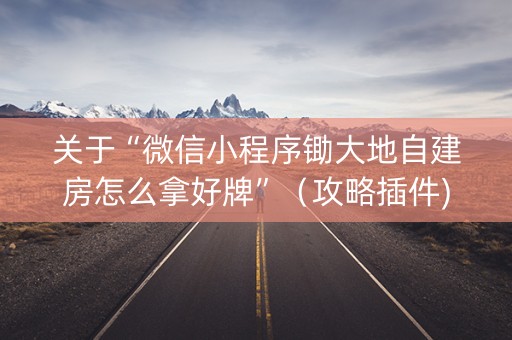 关于“微信小程序锄大地自建房怎么拿好牌”（攻略插件)