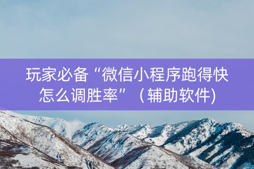 玩家必备“微信小程序跑得快怎么调胜率”（辅助软件)