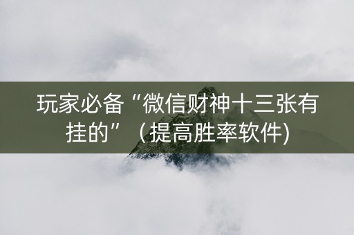 玩家必备“微信财神十三张有挂的”（提高胜率软件)