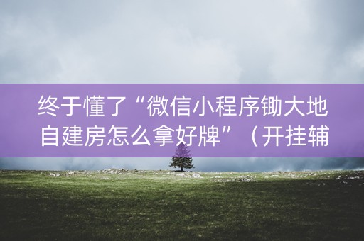 终于懂了“微信小程序锄大地自建房怎么拿好牌”（开挂辅助插件)