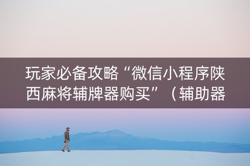 玩家必备攻略“微信小程序陕西麻将辅牌器购买”（辅助器下载)