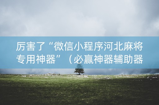 厉害了“微信小程序河北麻将专用神器”（必赢神器辅助器)