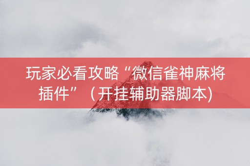 玩家必看攻略“微信雀神麻将插件”（开挂辅助器脚本)