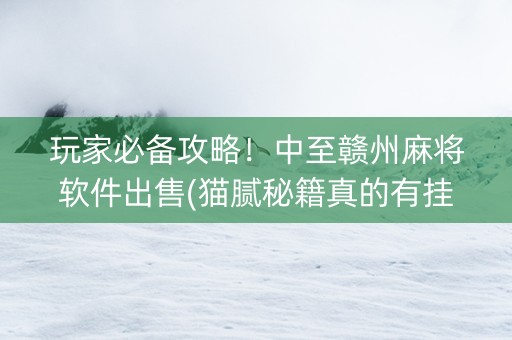 玩家必备攻略！中至赣州麻将软件出售(猫腻秘籍真的有挂)