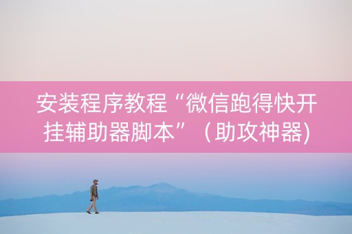 安装程序教程“微信跑得快开挂辅助器脚本”（助攻神器)