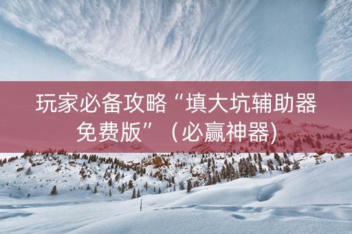 玩家必备攻略“填大坑辅助器免费版”（必赢神器)