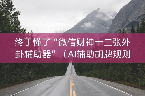 终于懂了“微信财神十三张外卦辅助器”（AI辅助胡牌规则)