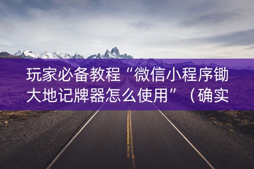 玩家必备教程“微信小程序锄大地记牌器怎么使用”（确实有插件吗)