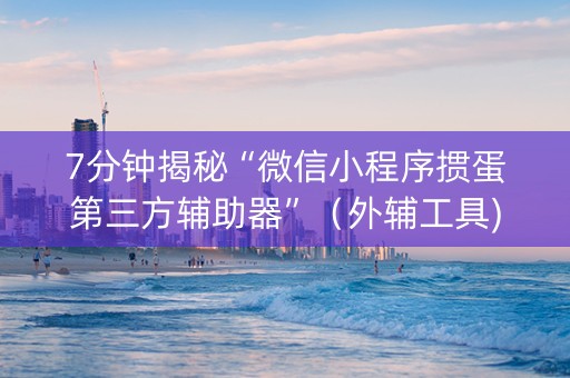 7分钟揭秘“微信小程序掼蛋第三方辅助器”（外辅工具)