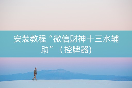安装教程“微信财神十三水辅助”（控牌器)