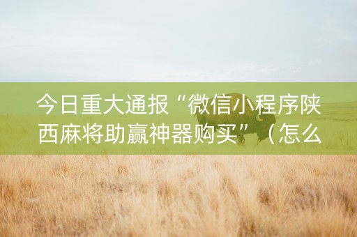 今日重大通报“微信小程序陕西麻将助赢神器购买”（怎么调胜率)