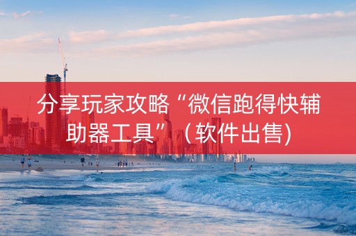 分享玩家攻略“微信跑得快辅助器工具”（软件出售)