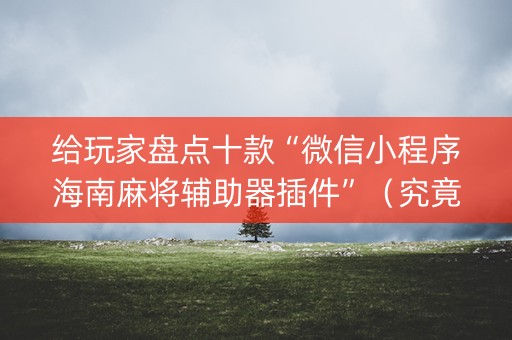 给玩家盘点十款“微信小程序海南麻将辅助器插件”（究竟是不是有挂)