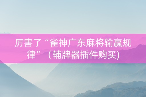 厉害了“雀神广东麻将输赢规律”（辅牌器插件购买)