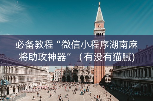 必备教程“微信小程序湖南麻将助攻神器”（有没有猫腻)