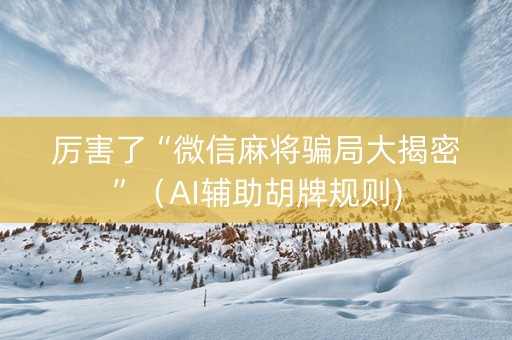 厉害了“微信麻将骗局大揭密”（AI辅助胡牌规则)