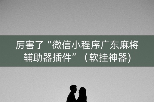 厉害了“微信小程序广东麻将辅助器插件”（软挂神器)