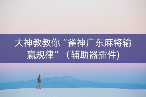 大神教教你“雀神广东麻将输赢规律”（辅助器插件)