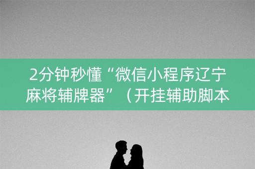 2分钟秒懂“微信小程序辽宁麻将辅牌器”（开挂辅助脚本)