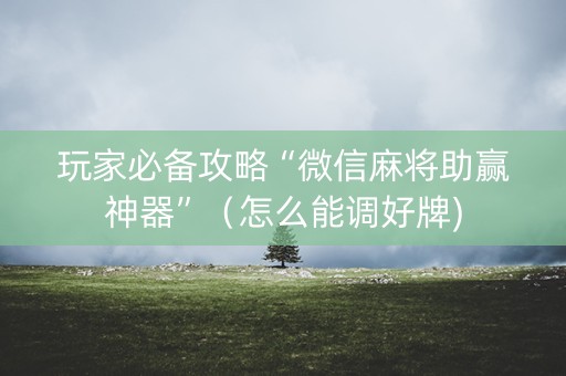 玩家必备攻略“微信麻将助赢神器”（怎么能调好牌)