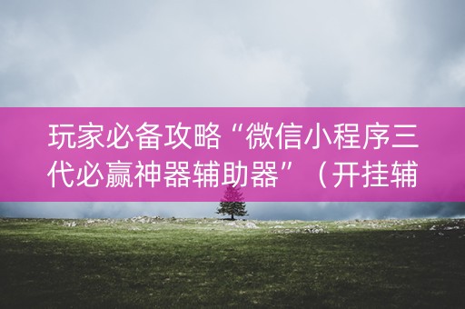 玩家必备攻略“微信小程序三代必赢神器辅助器”（开挂辅助器脚本)