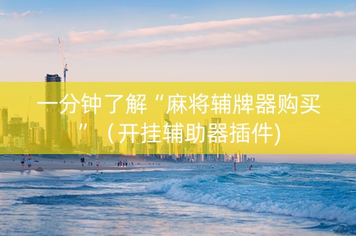 一分钟了解“麻将辅牌器购买”（开挂辅助器插件)