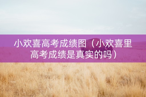 小欢喜高考成绩图（小欢喜里高考成绩是真实的吗）