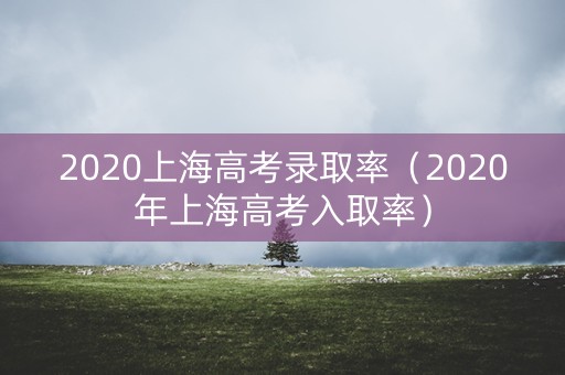 2020上海高考录取率（2020年上海高考入取率）